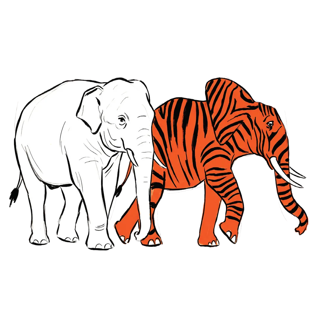 Illustrazione: un elefante al naturale e uno con il mantello tigrato arancione
